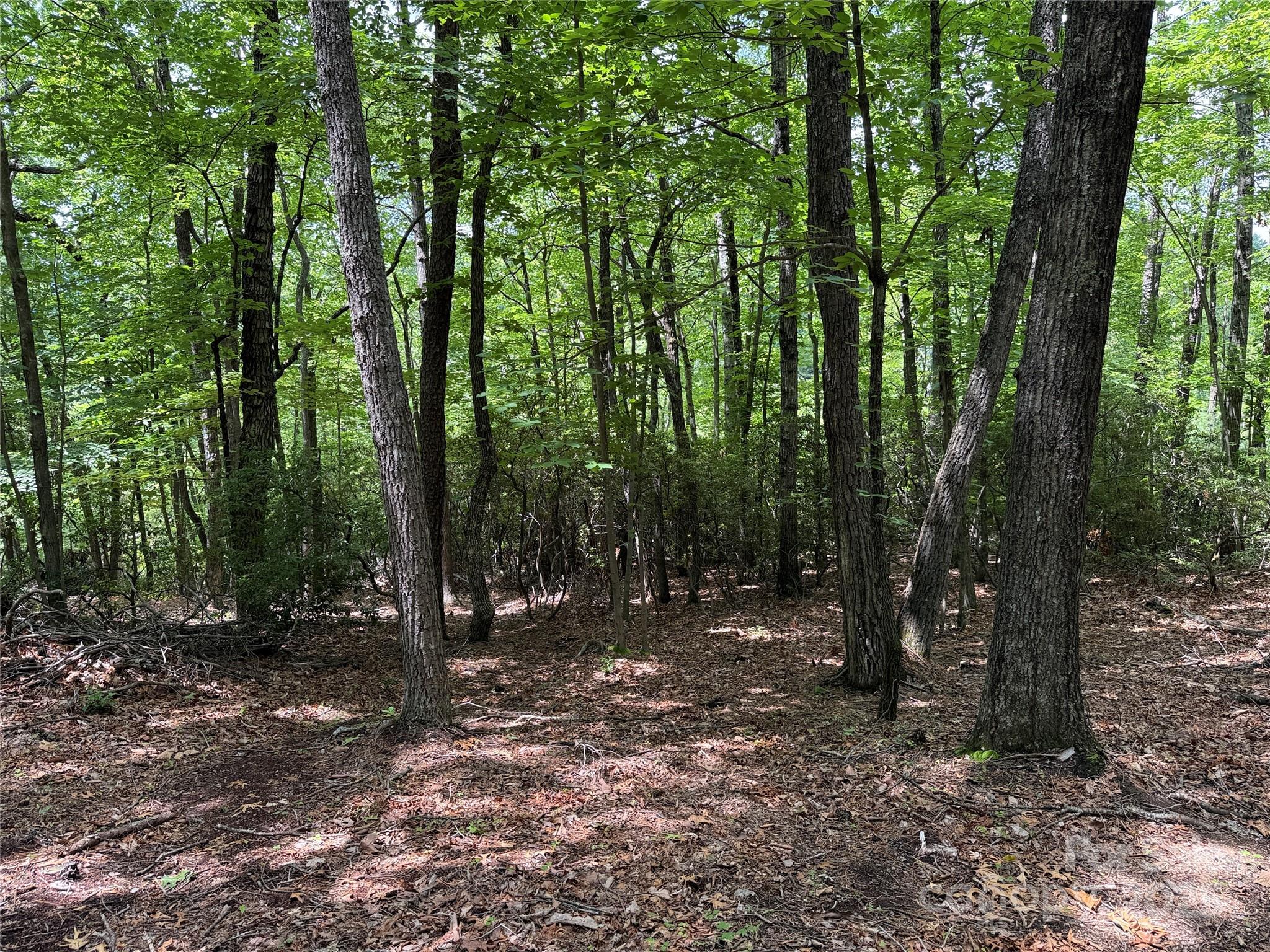 Tbd Casey Mountain Road, Unit 215 Purlear, NC 28665 - Photo 15 of 45 Gallery Image 15