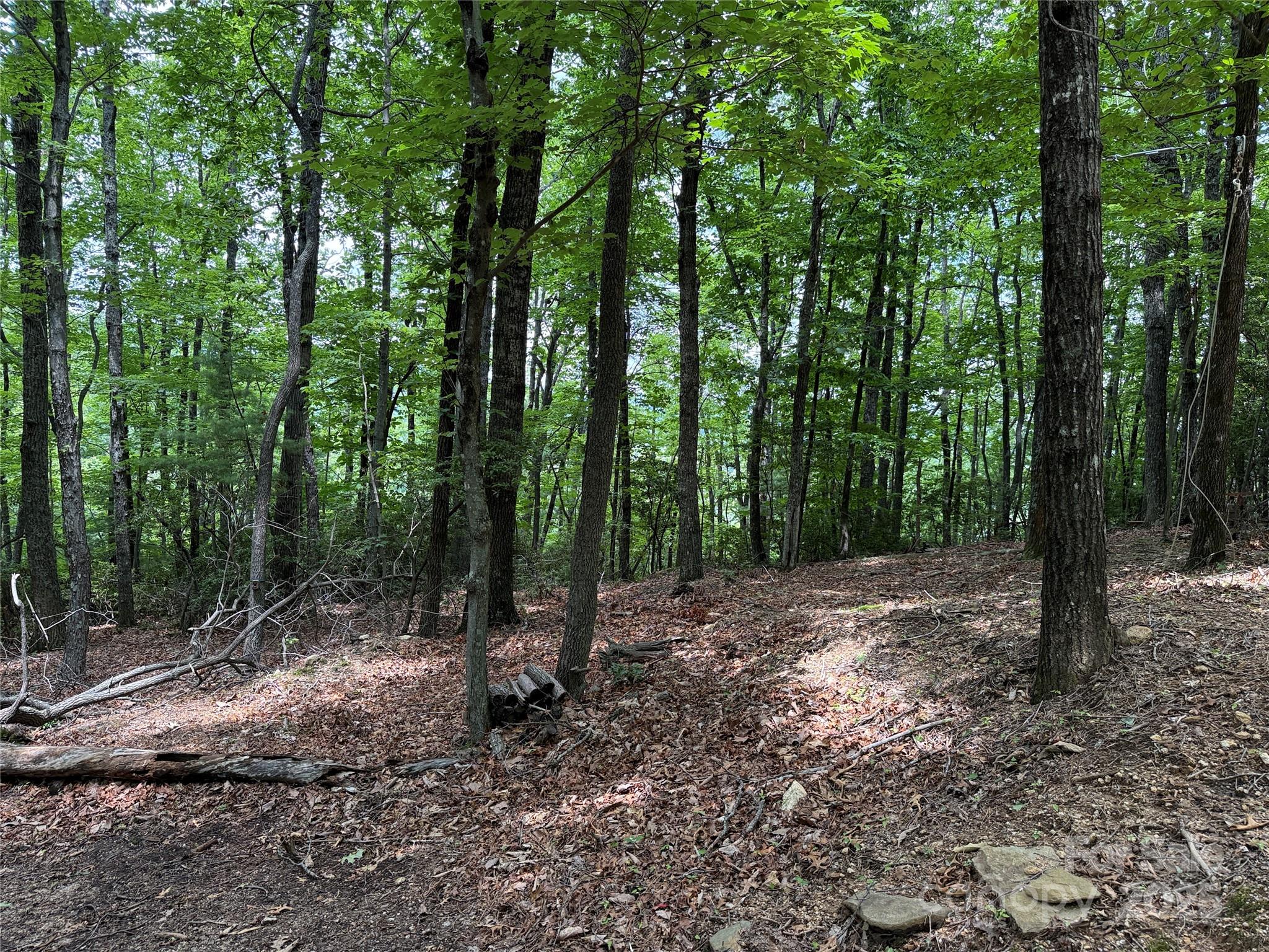 Tbd Casey Mountain Road, Unit 215 Purlear, NC 28665 - Photo 16 of 45 Gallery Image 16