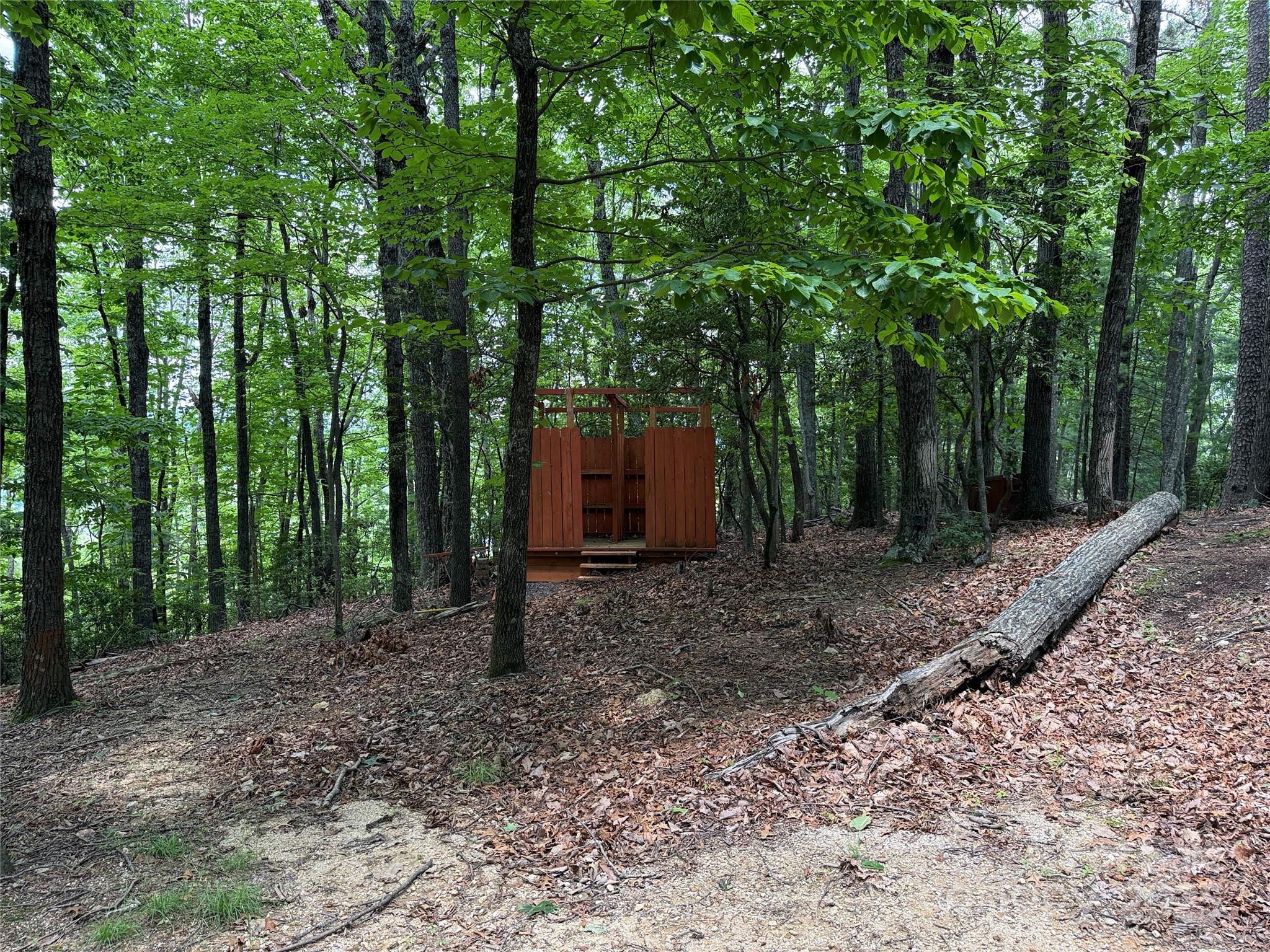Tbd Casey Mountain Road, Unit 215 Purlear, NC 28665 - Photo 18 of 45 Gallery Image 18