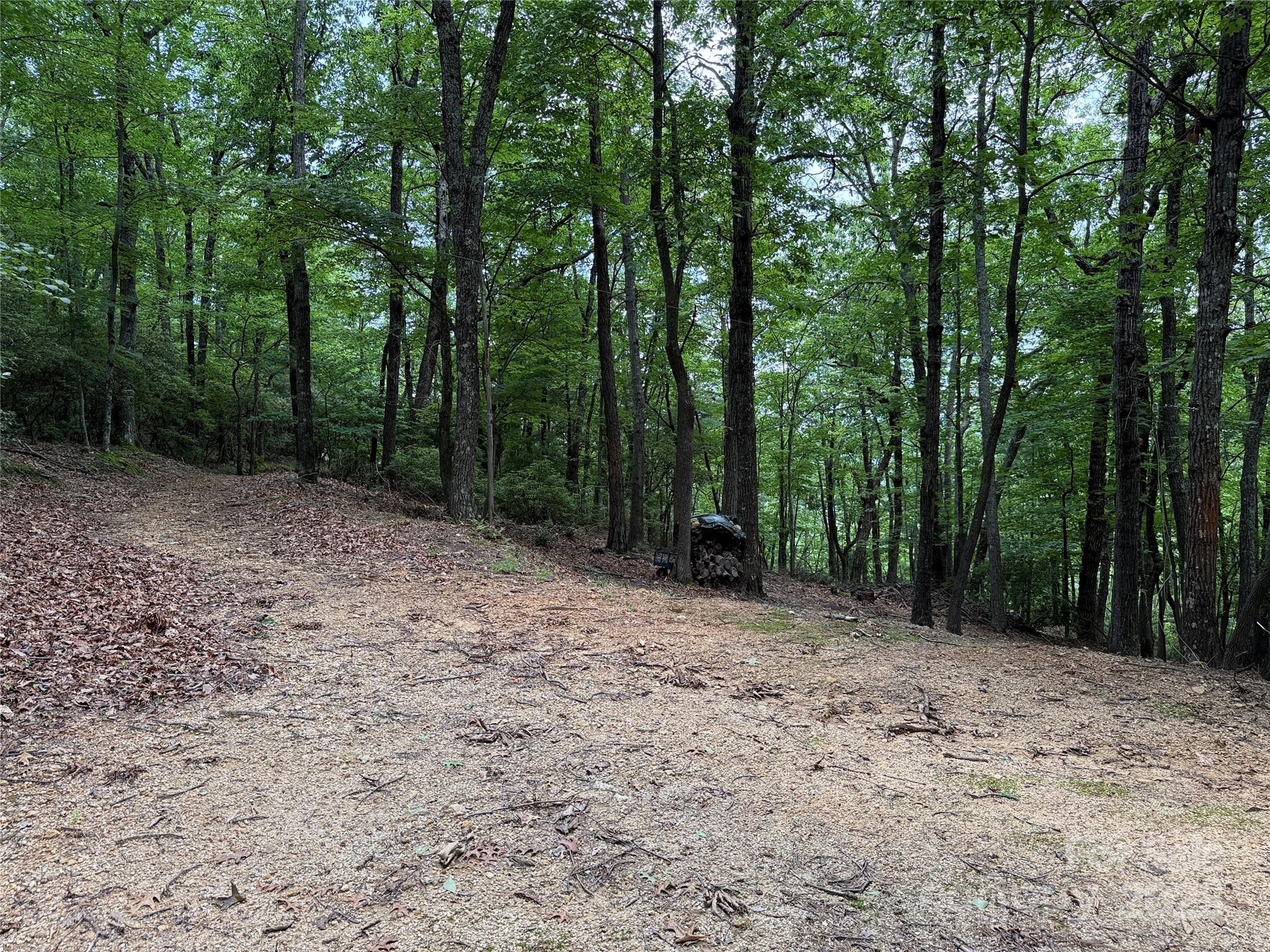 Tbd Casey Mountain Road, Unit 215 Purlear, NC 28665 - Photo 19 of 45 Gallery Image 19