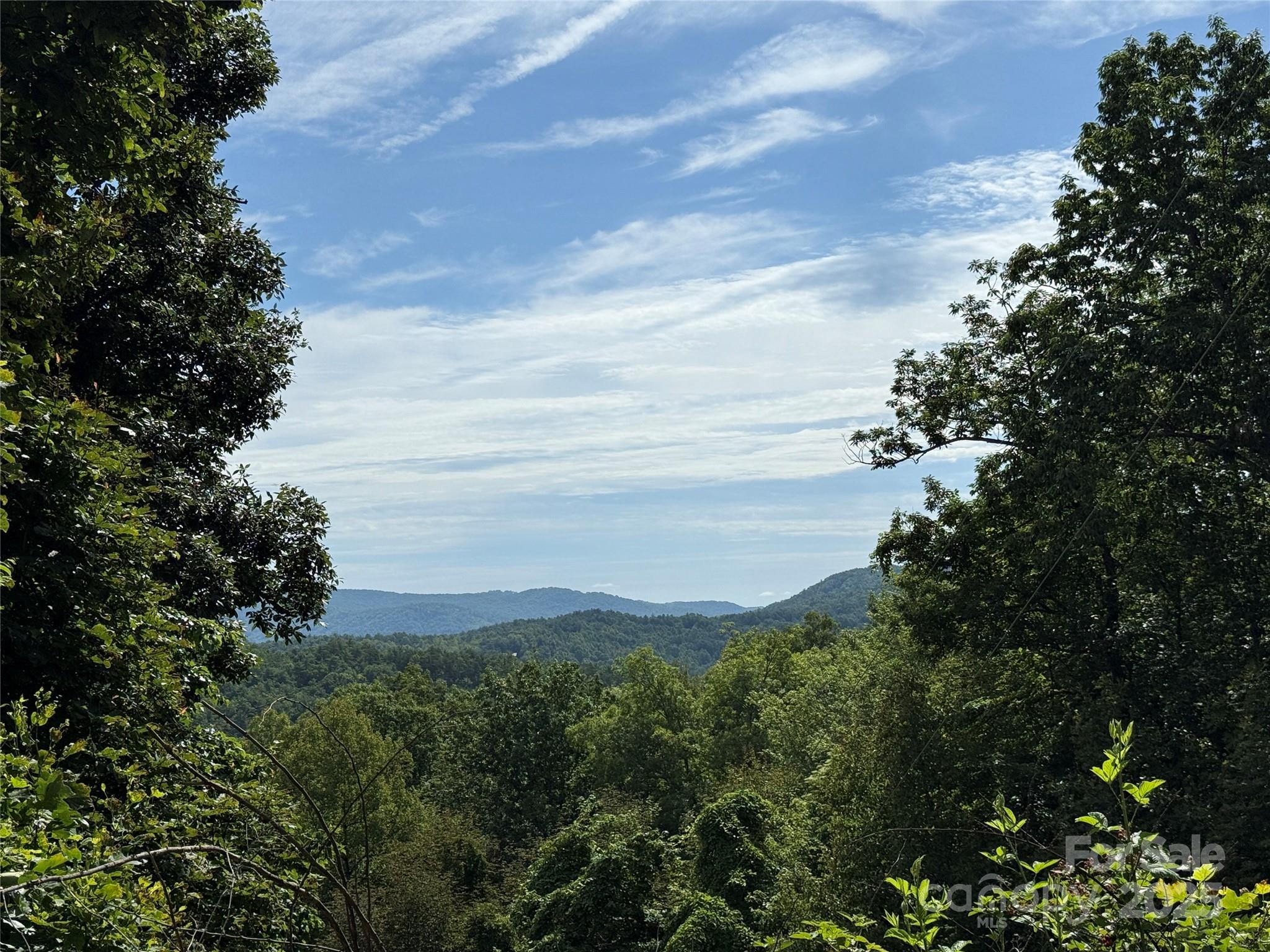 Tbd Casey Mountain Road, Unit 215 Purlear, NC 28665 - Photo 2 of 45 Gallery Image 2