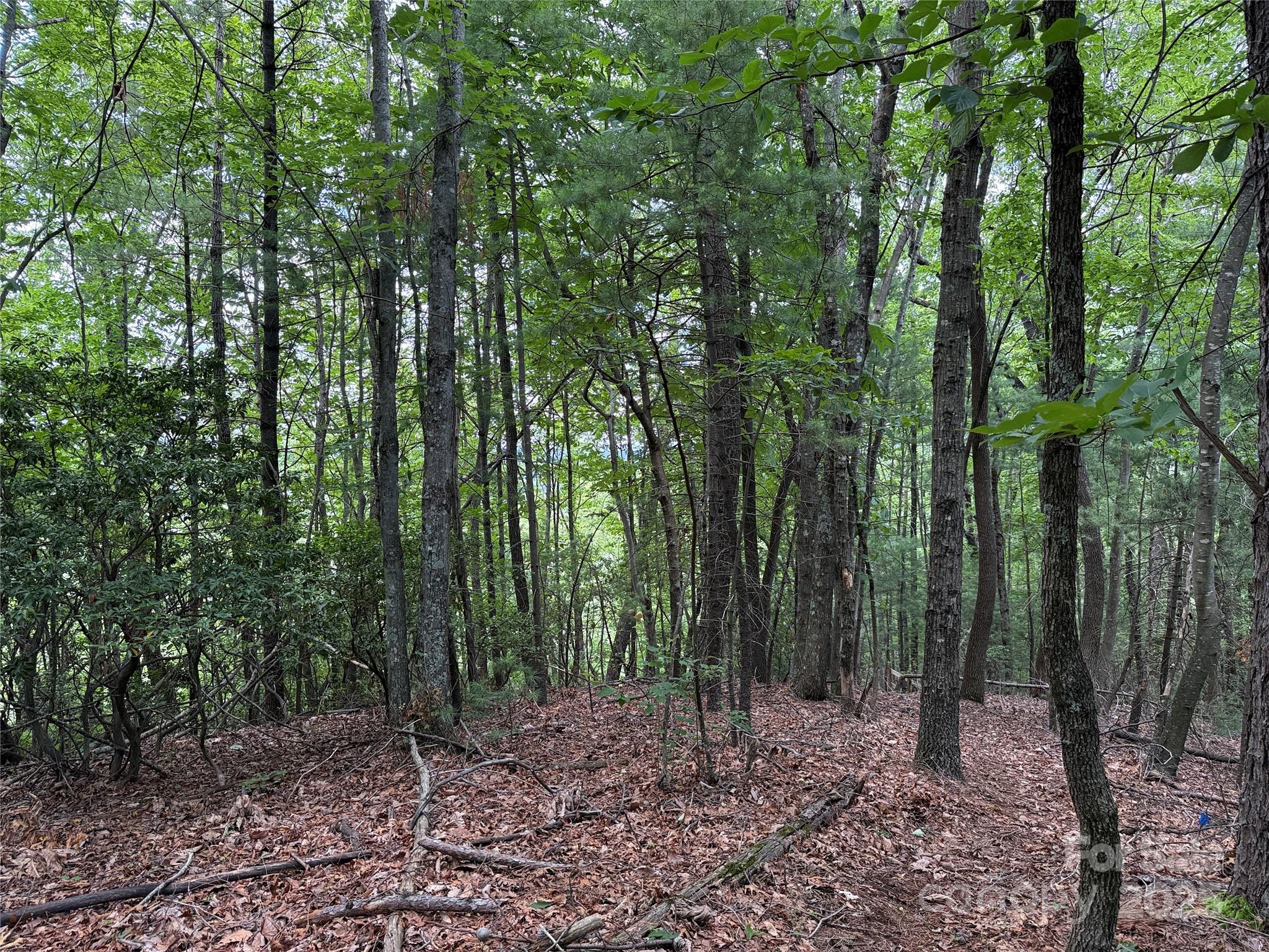 Tbd Casey Mountain Road, Unit 215 Purlear, NC 28665 - Photo 21 of 45 Gallery Image 21