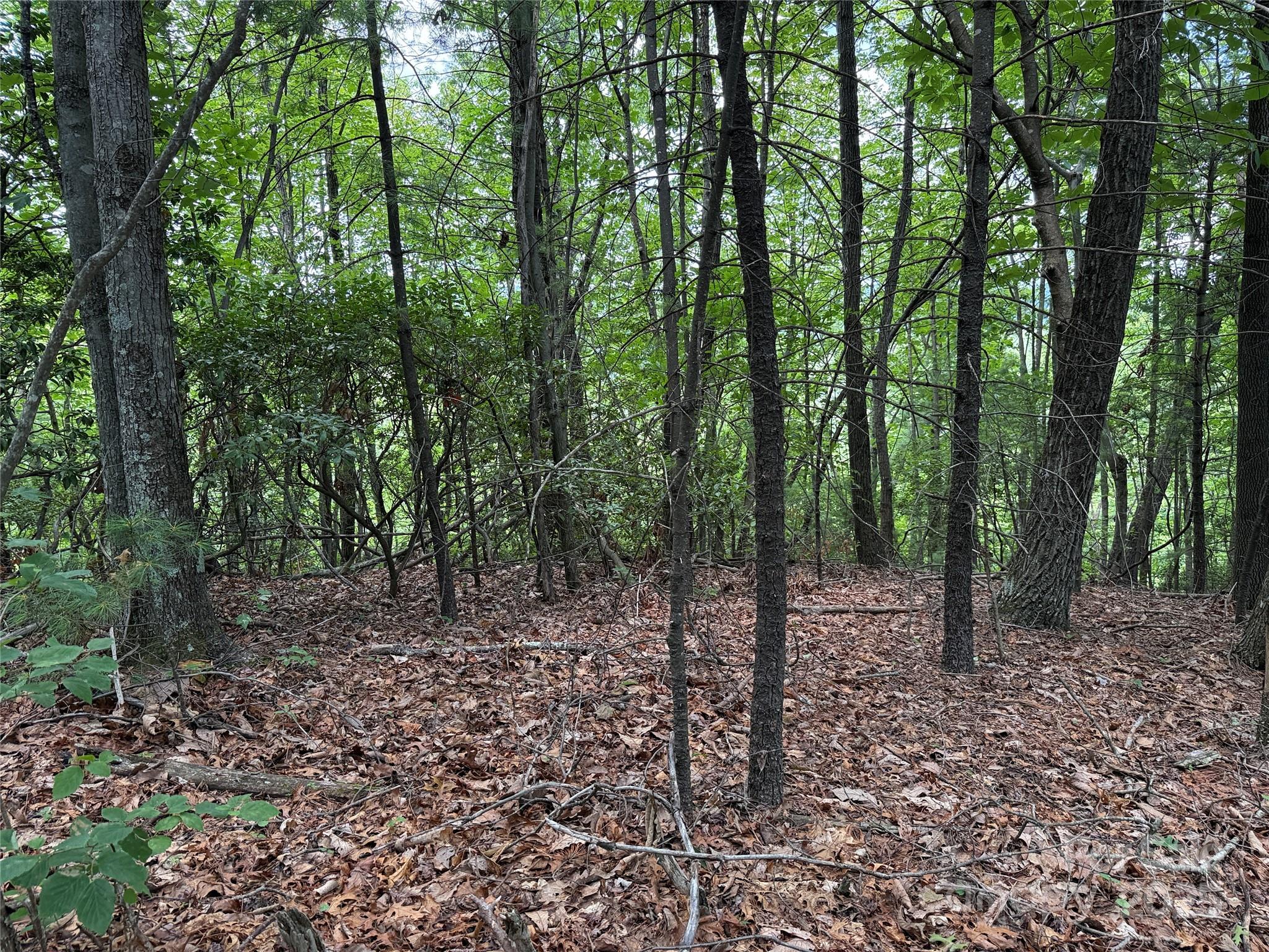 Tbd Casey Mountain Road, Unit 215 Purlear, NC 28665 - Photo 22 of 45 Gallery Image 22