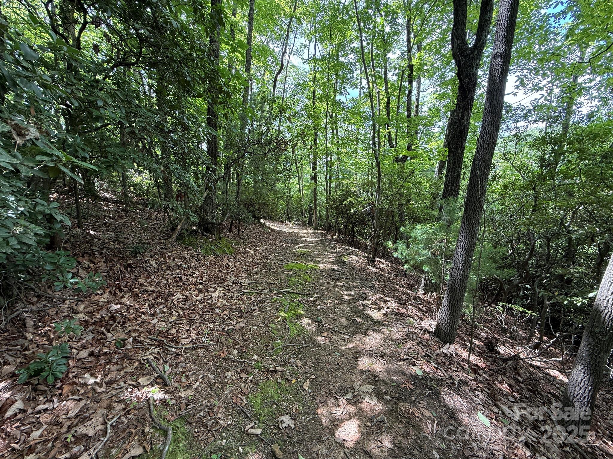 Tbd Casey Mountain Road, Unit 215 Purlear, NC 28665 - Photo 23 of 45 Gallery Image 23