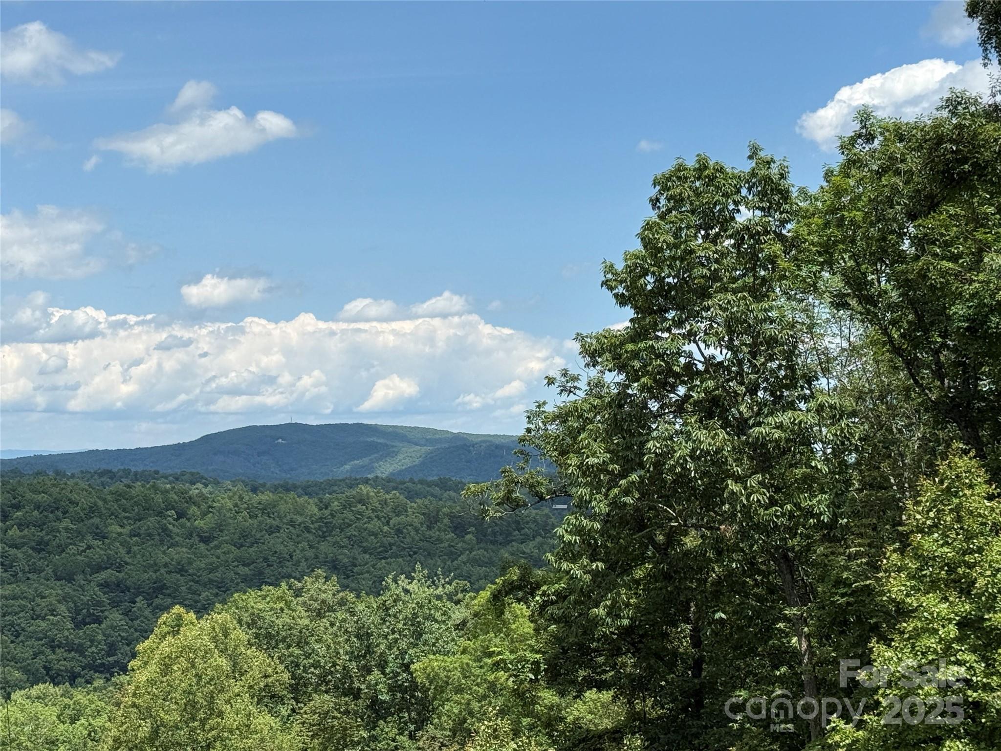 Tbd Casey Mountain Road, Unit 215 Purlear, NC 28665 - Photo 3 of 45 Gallery Image 3