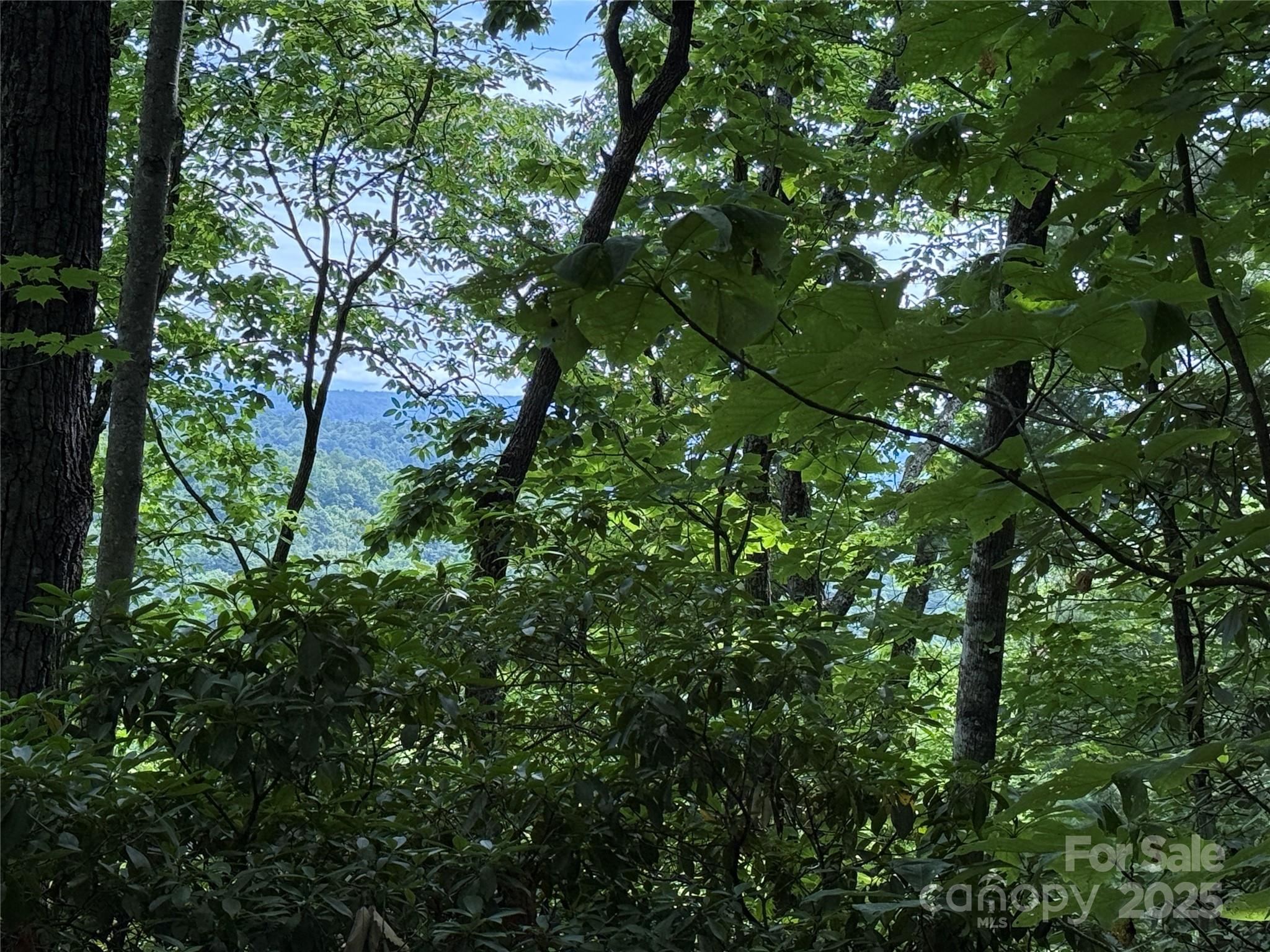 Tbd Casey Mountain Road, Unit 215 Purlear, NC 28665 - Photo 4 of 45 Gallery Image 4