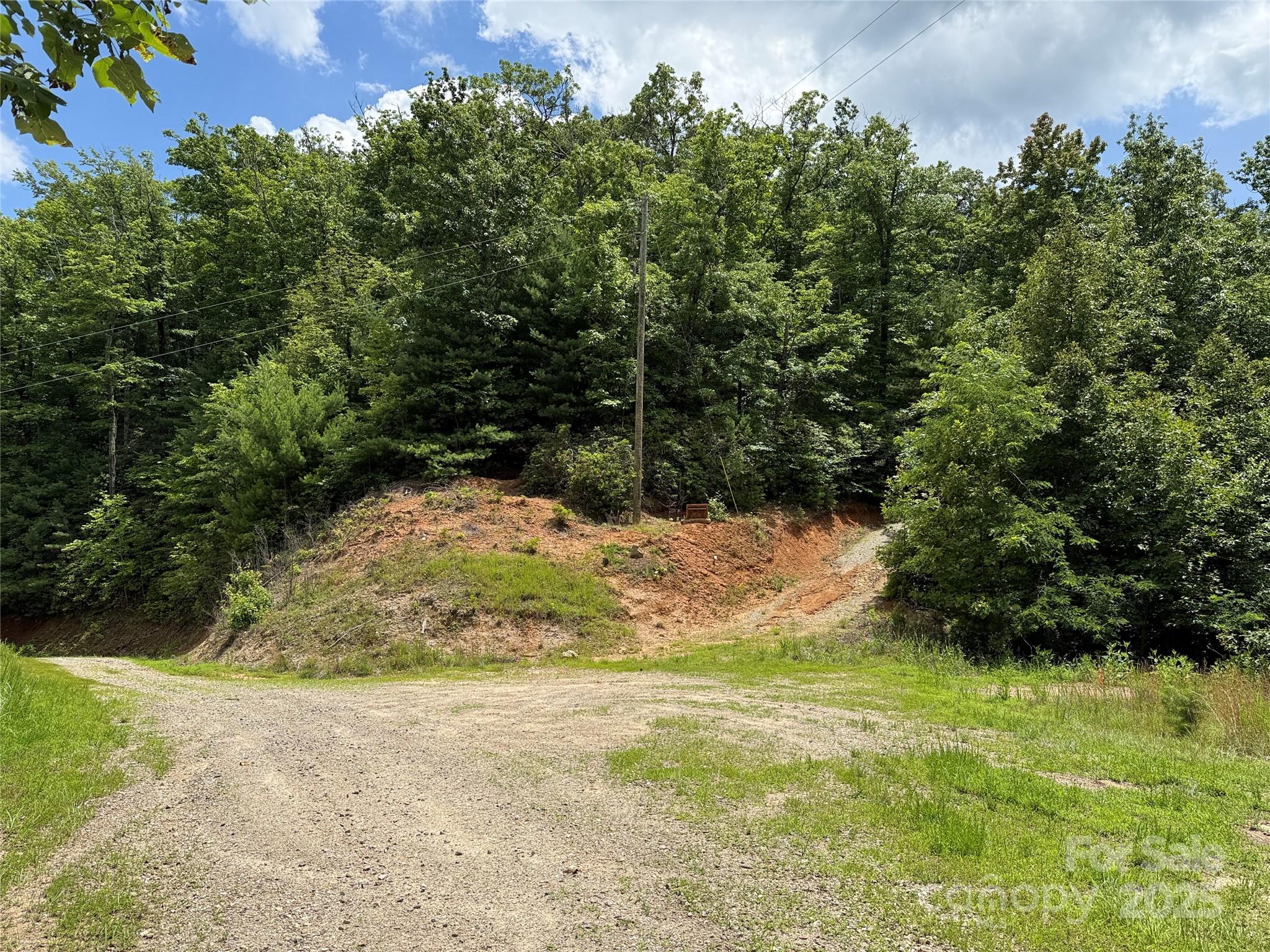 Tbd Casey Mountain Road, Unit 215 Purlear, NC 28665 - Photo 5 of 45 Gallery Image 5