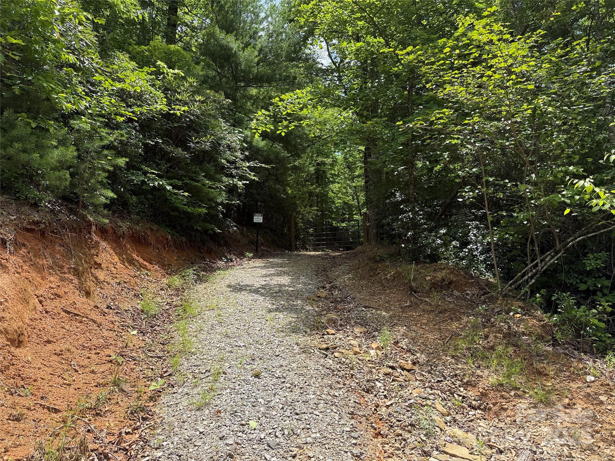 Tbd Casey Mountain Road, Unit 215 Purlear, NC 28665 - Photo 7 of 45 Gallery Image 7