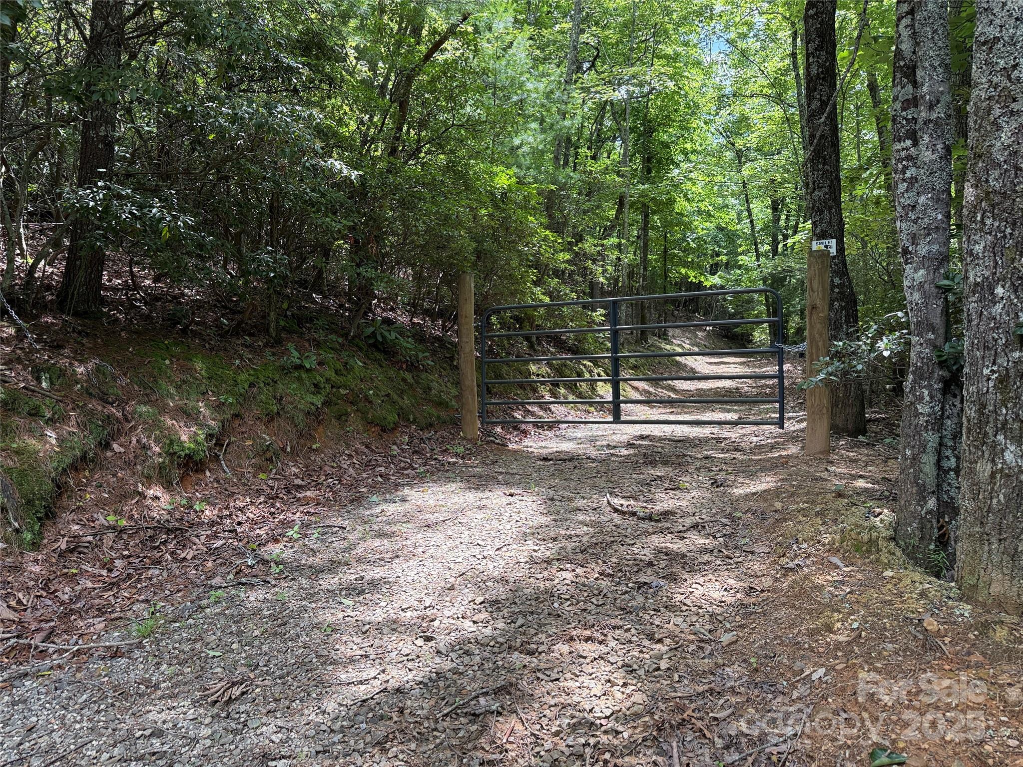 Tbd Casey Mountain Road, Unit 215 Purlear, NC 28665 - Photo 8 of 45 Gallery Image 8