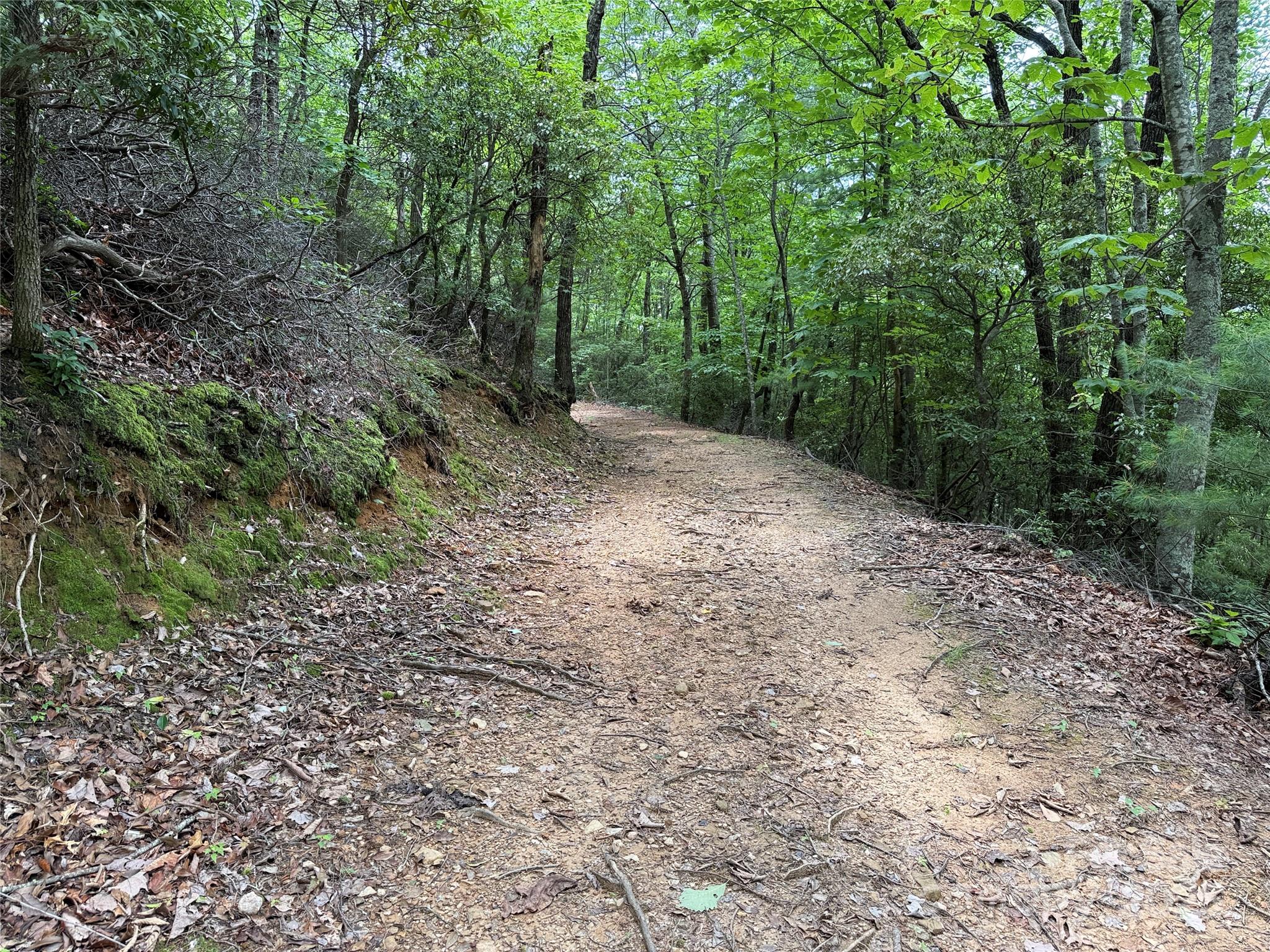 Tbd Casey Mountain Road, Unit 215 Purlear, NC 28665 - Photo 9 of 45 Gallery Image 9