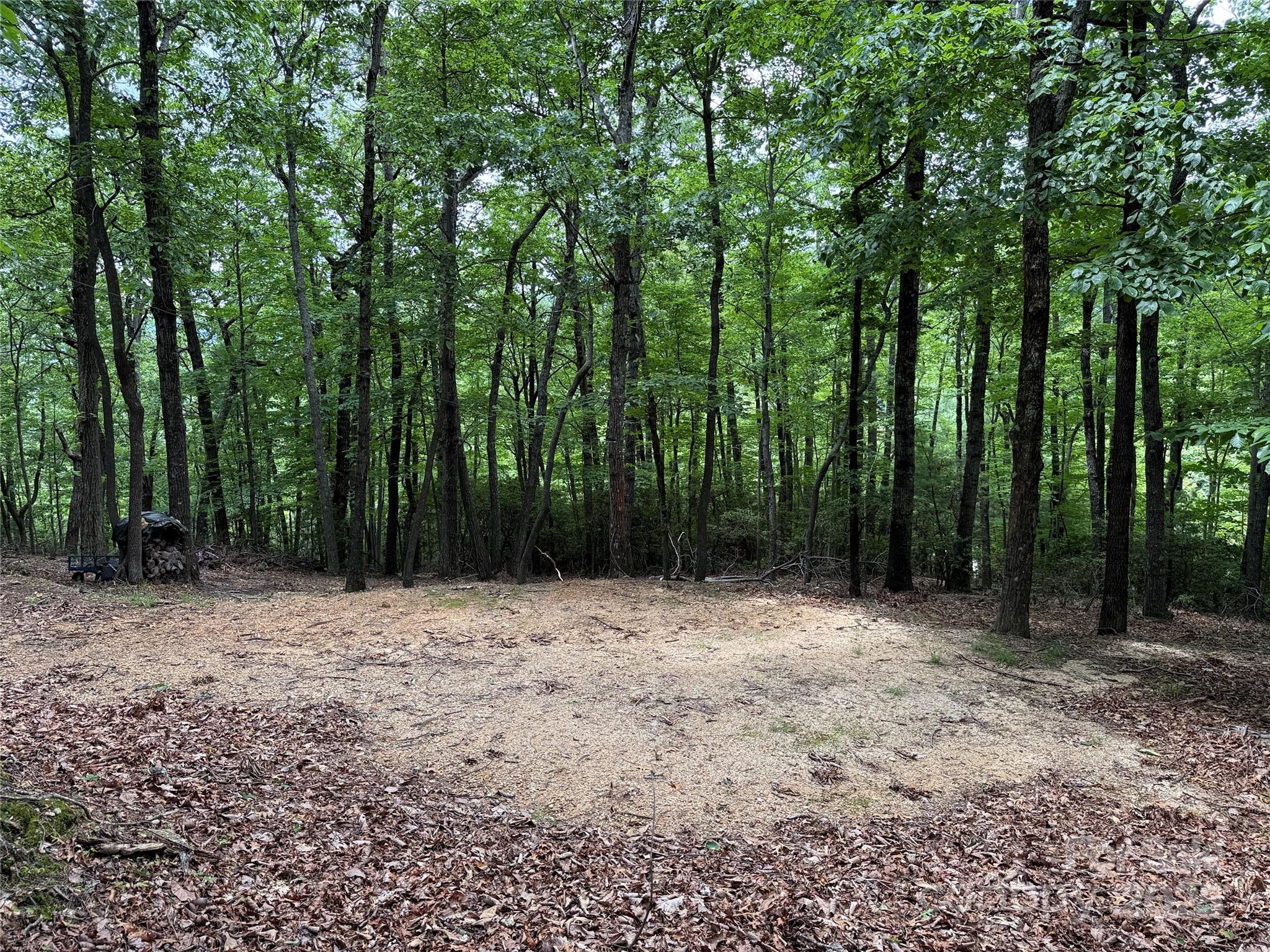 Tbd Casey Mountain Road, Unit 215 Purlear, NC 28665 - Photo 10 of 45 Gallery Image 10