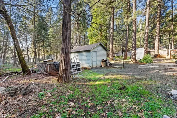 a view of backyard of house