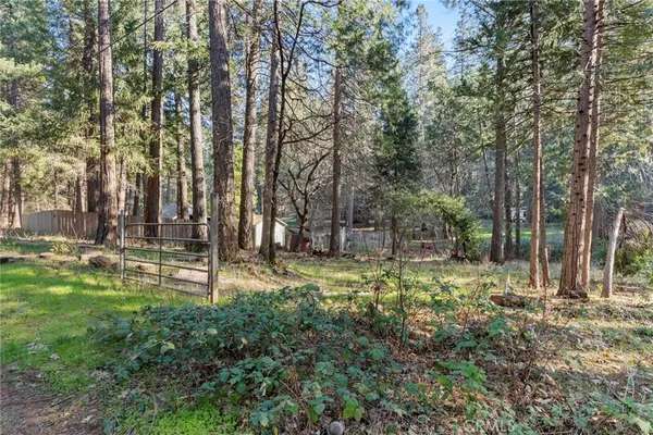 a view of a yard with a tree