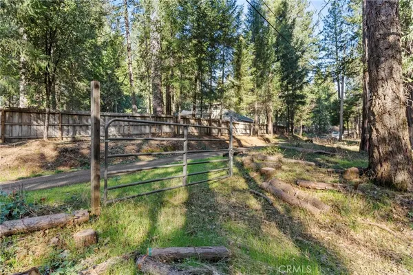a view of a yard with large trees