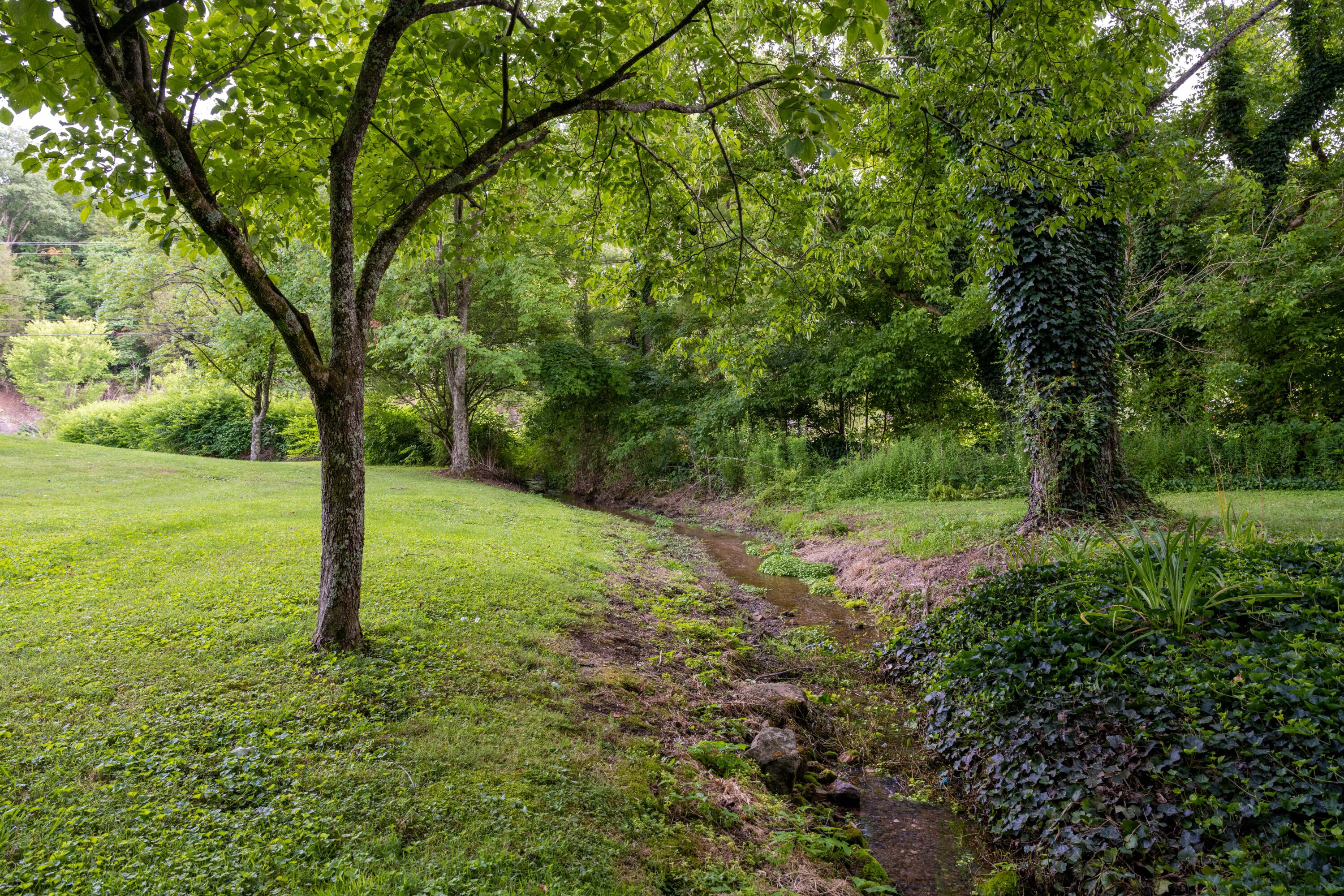 2590 Daniel Boone Road Gate City, VA 24251 - Photo 32 of 42 Daniel Boone-4