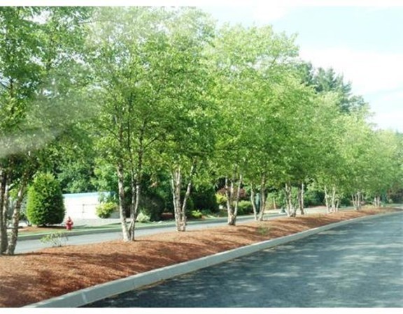 404 Fernwood Lane, Unit 404 Clinton, MA 01510 - Photo 25 of 25