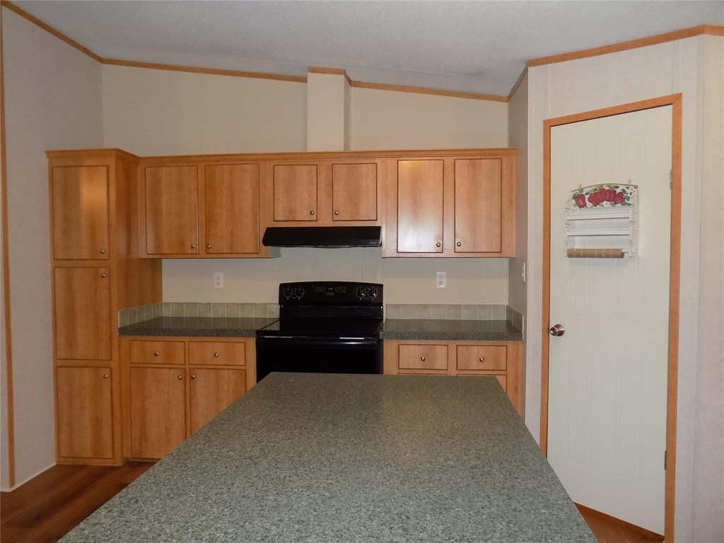 12792 Highway 199 Poolville, TX 76487 - Photo 13 of 24 View of new stove and pantry door