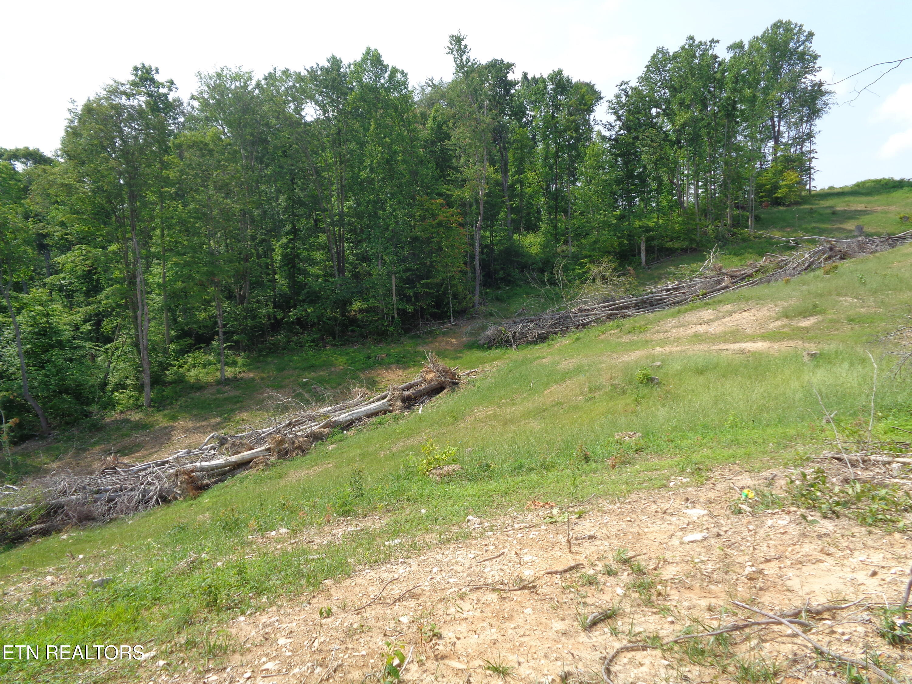 3877 Highway 66 Sneedville, TN 37869 - Photo 12 of 14 DSC00885