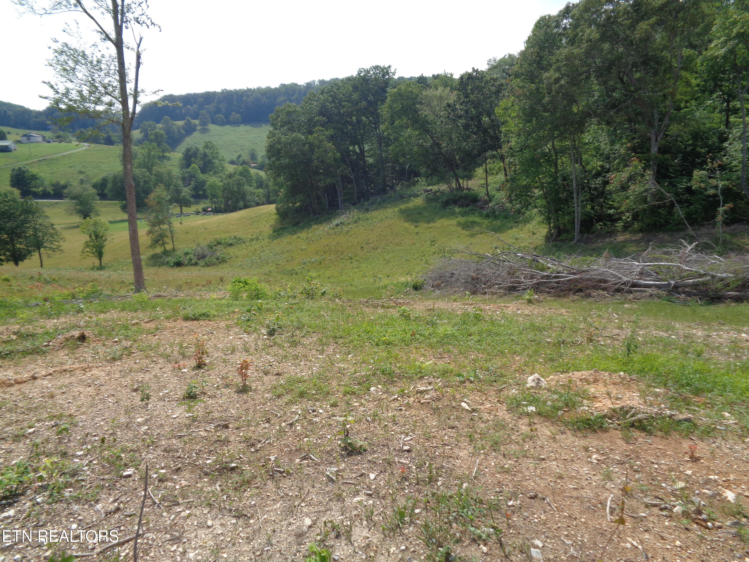 3877 Highway 66 Sneedville, TN 37869 - Photo 13 of 14 DSC00886