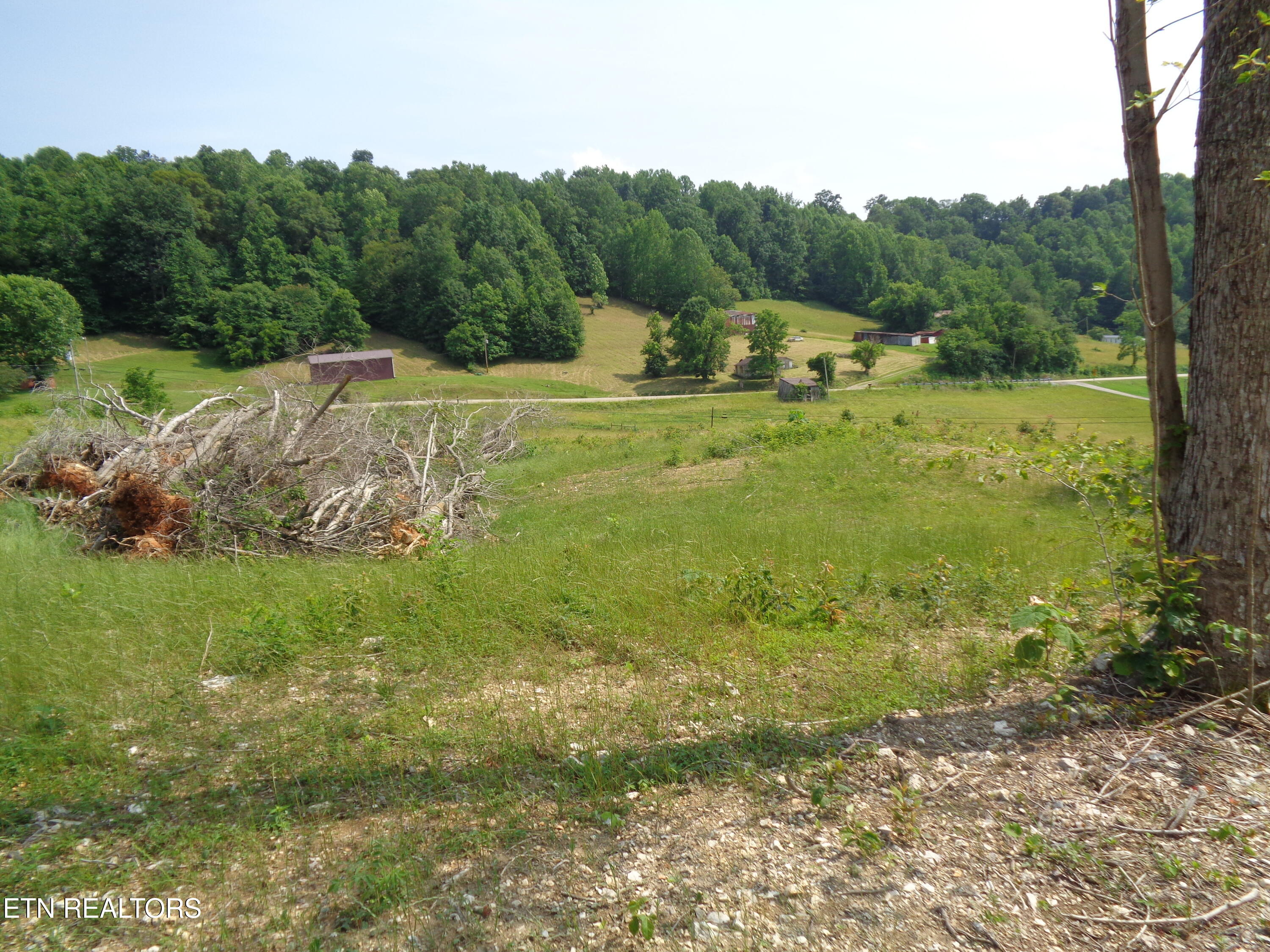 3877 Highway 66 Sneedville, TN 37869 - Photo 14 of 14 DSC00887