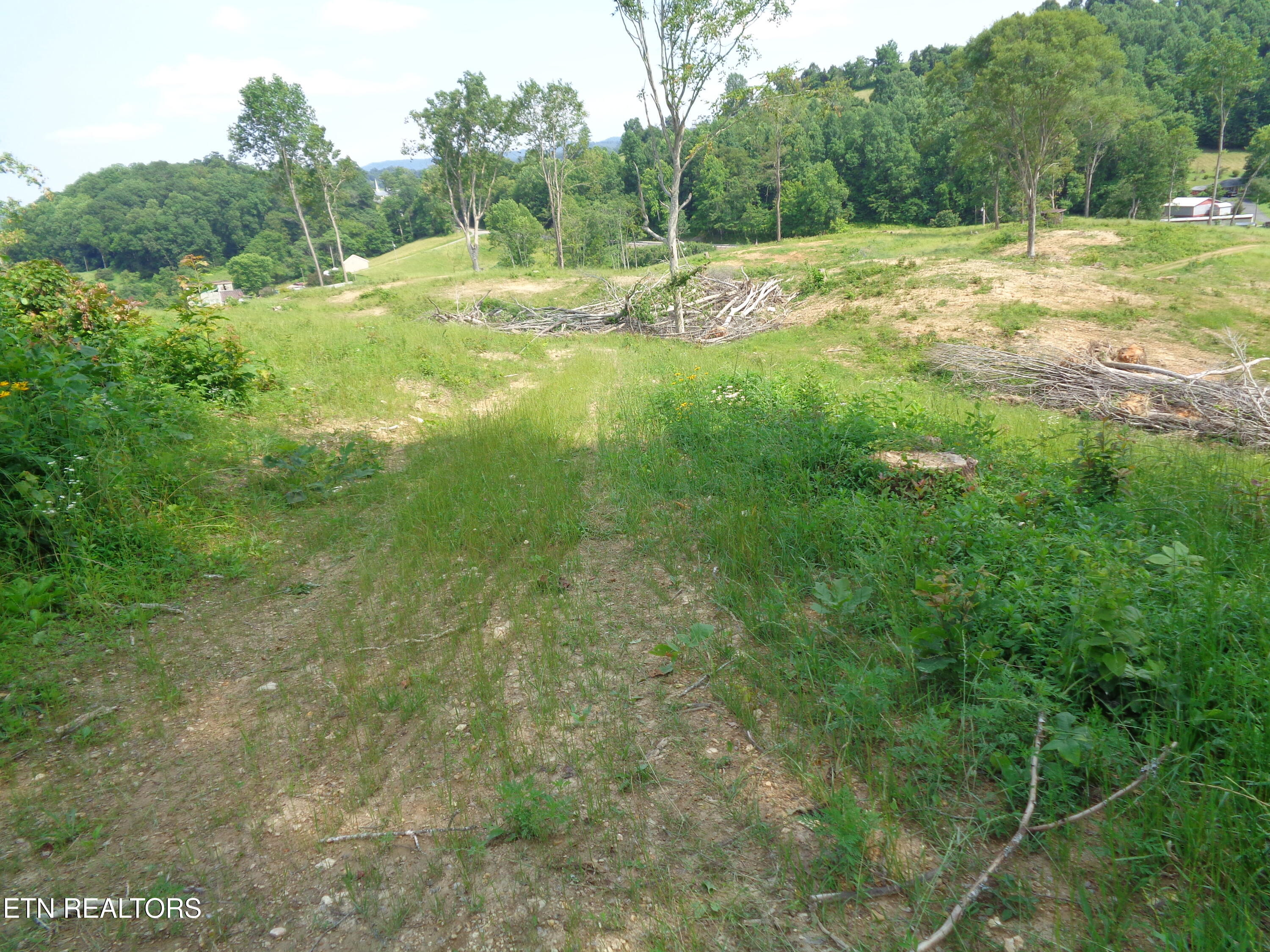 3877 Highway 66 Sneedville, TN 37869 - Photo 4 of 14 DSC00877