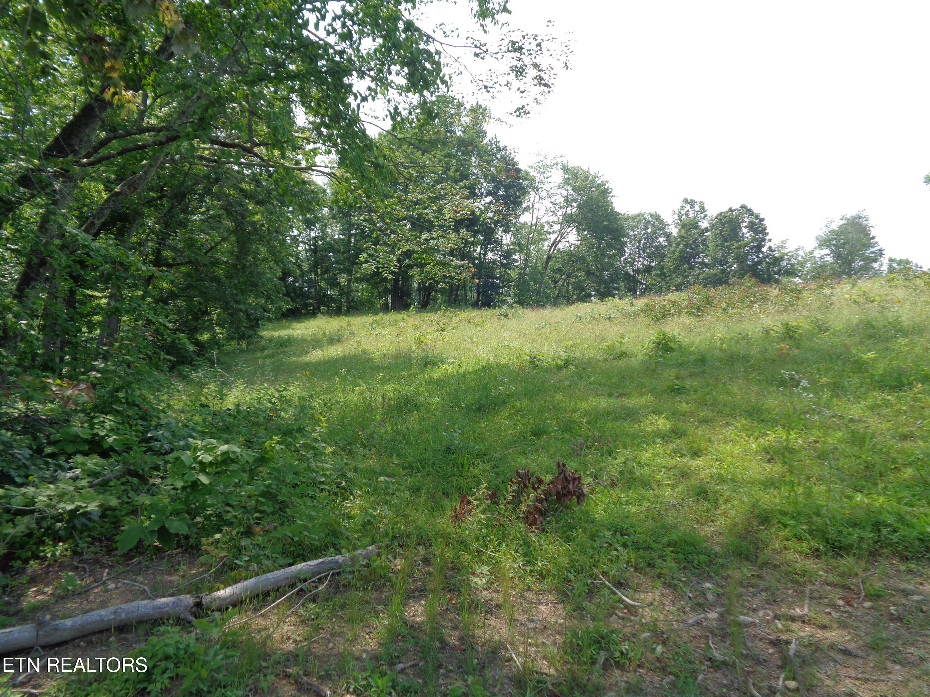 3877 Highway 66 Sneedville, TN 37869 - Photo 5 of 14 DSC00878