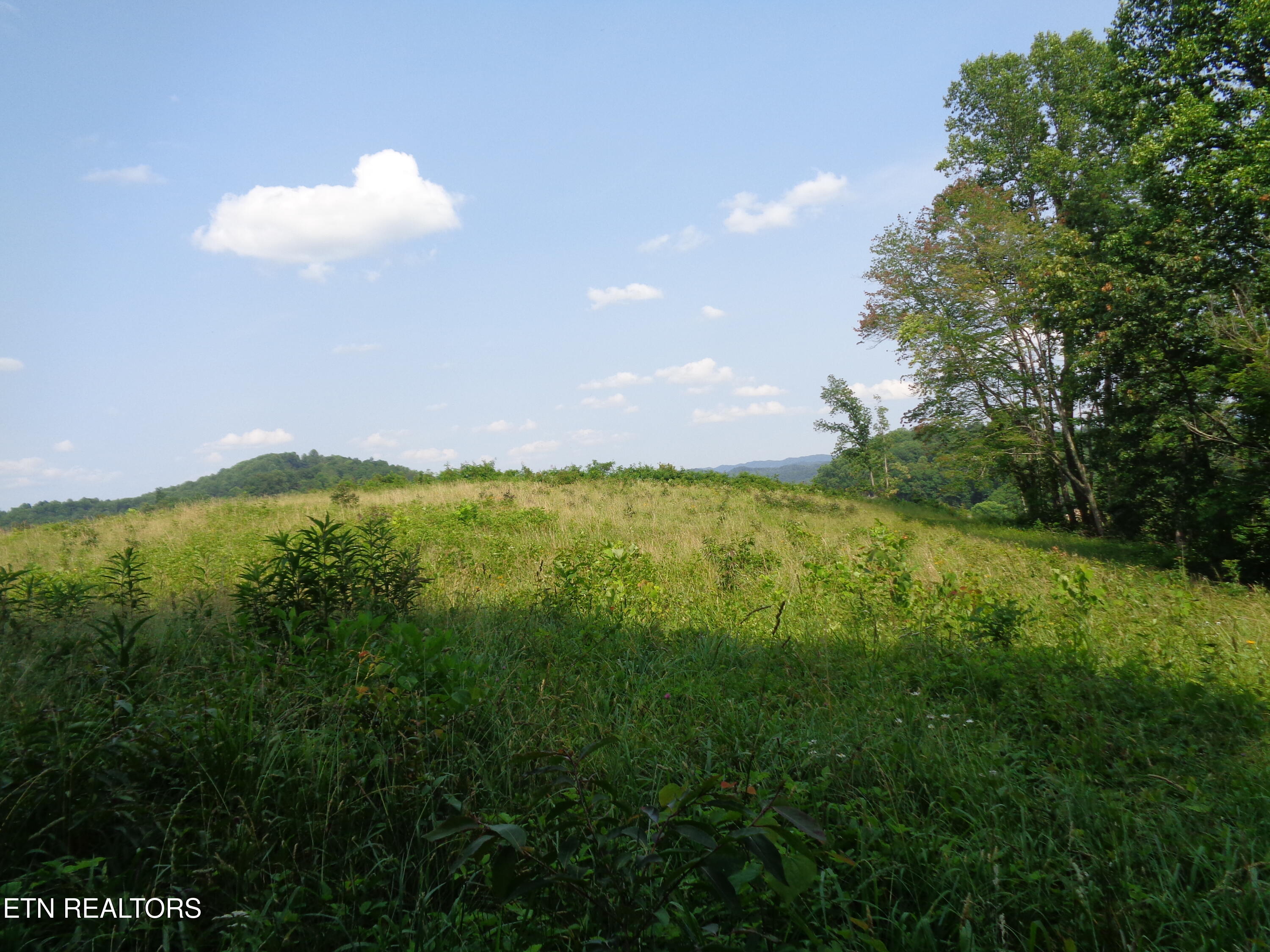 3877 Highway 66 Sneedville, TN 37869 - Photo 6 of 14 DSC00879