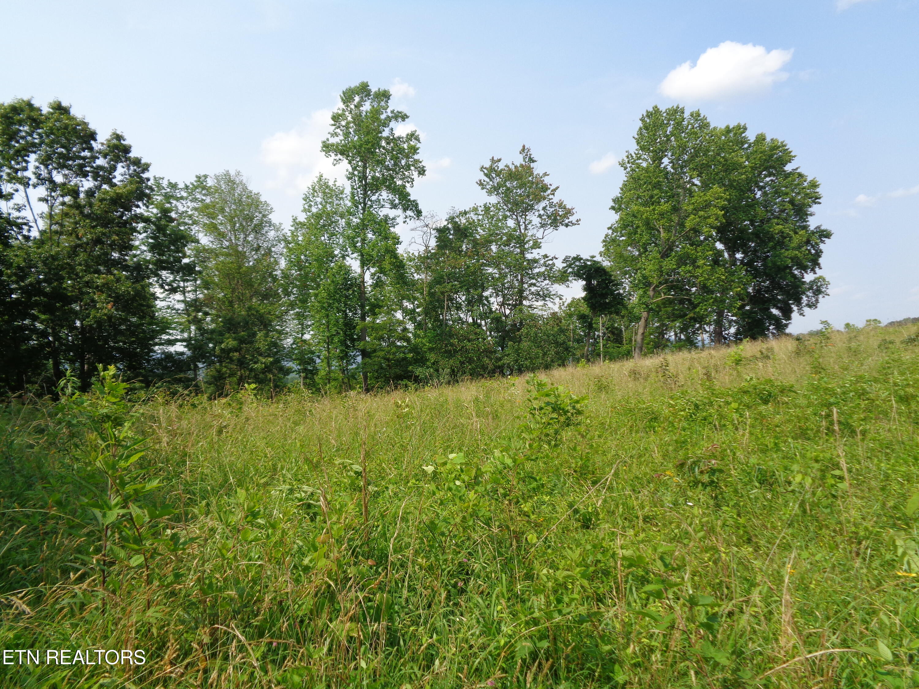 3877 Highway 66 Sneedville, TN 37869 - Photo 7 of 14 DSC00880