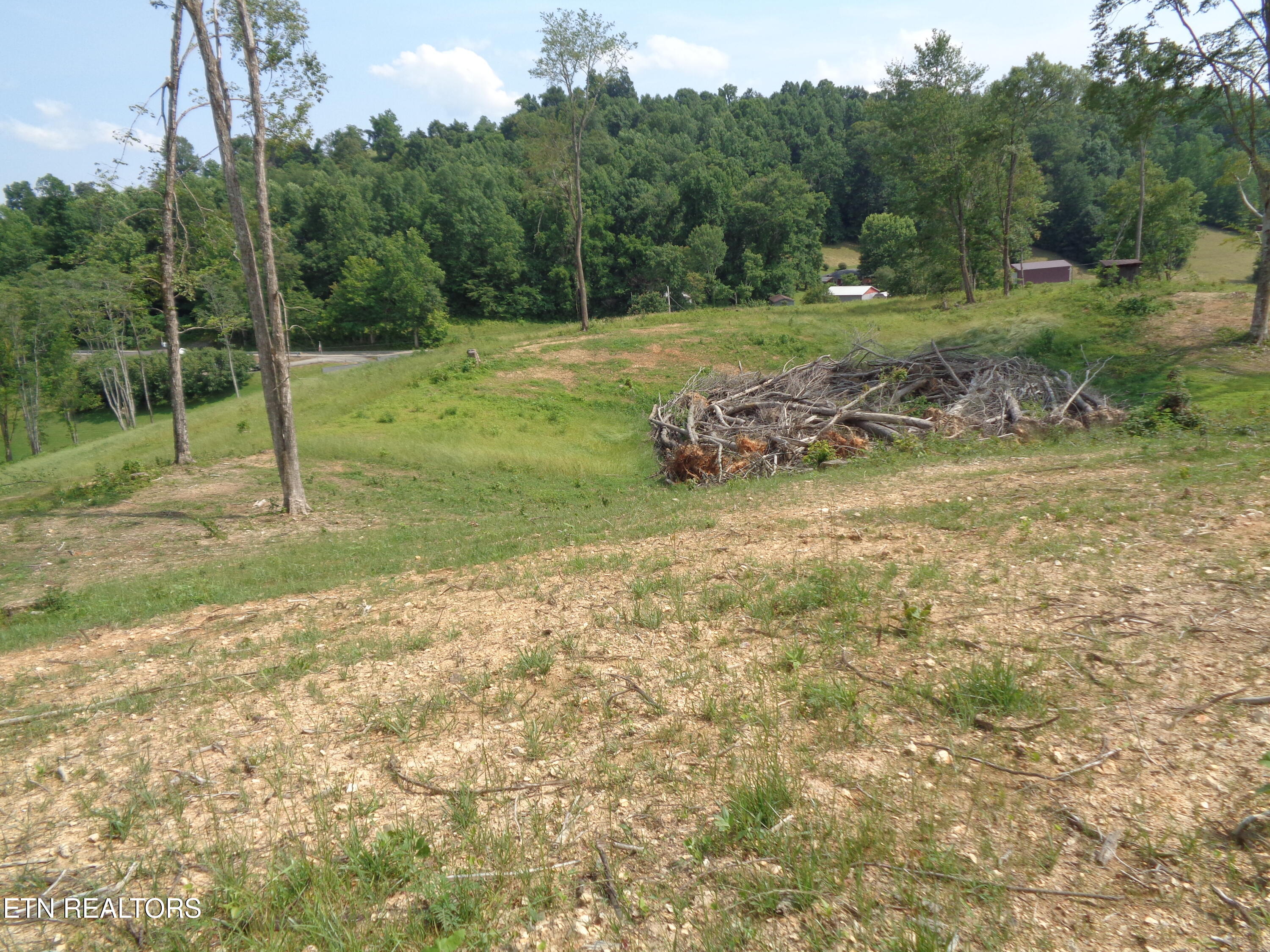 3877 Highway 66 Sneedville, TN 37869 - Photo 10 of 14 DSC00883