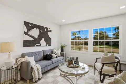 a living room with furniture and a potted plant