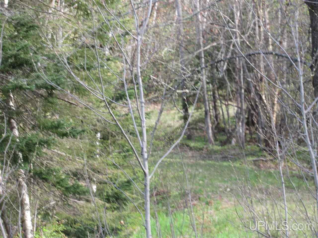 22431 Peterson Road Nisula, MI 49952 - Photo 21 of 24 Gallery Image 21