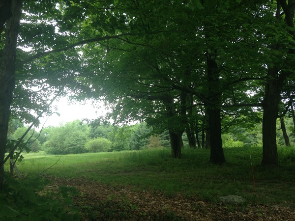 Lot 2 Leverett Road Amherst, MA 01002 - Photo 2 of 6 Gallery Image 2