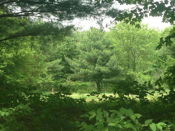 Lot 2 Leverett Road Amherst, MA 01002 - Photo 4 of 6 Gallery Image 4