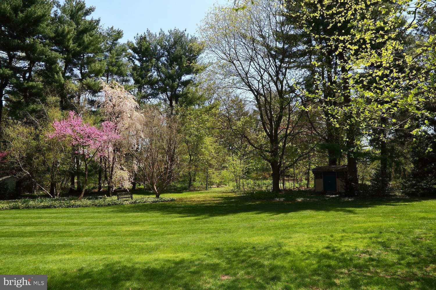 11 Spring Dell Road Lancaster, PA 17601 - Photo 3 of 58 Level lot, mature trees, a bucolic setting!