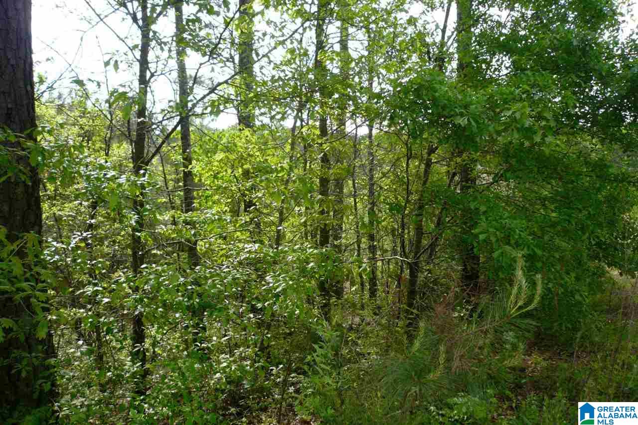 522 Woodbridge Trace, Unit 55 Chelsea, AL 35043 - Photo 8 of 22