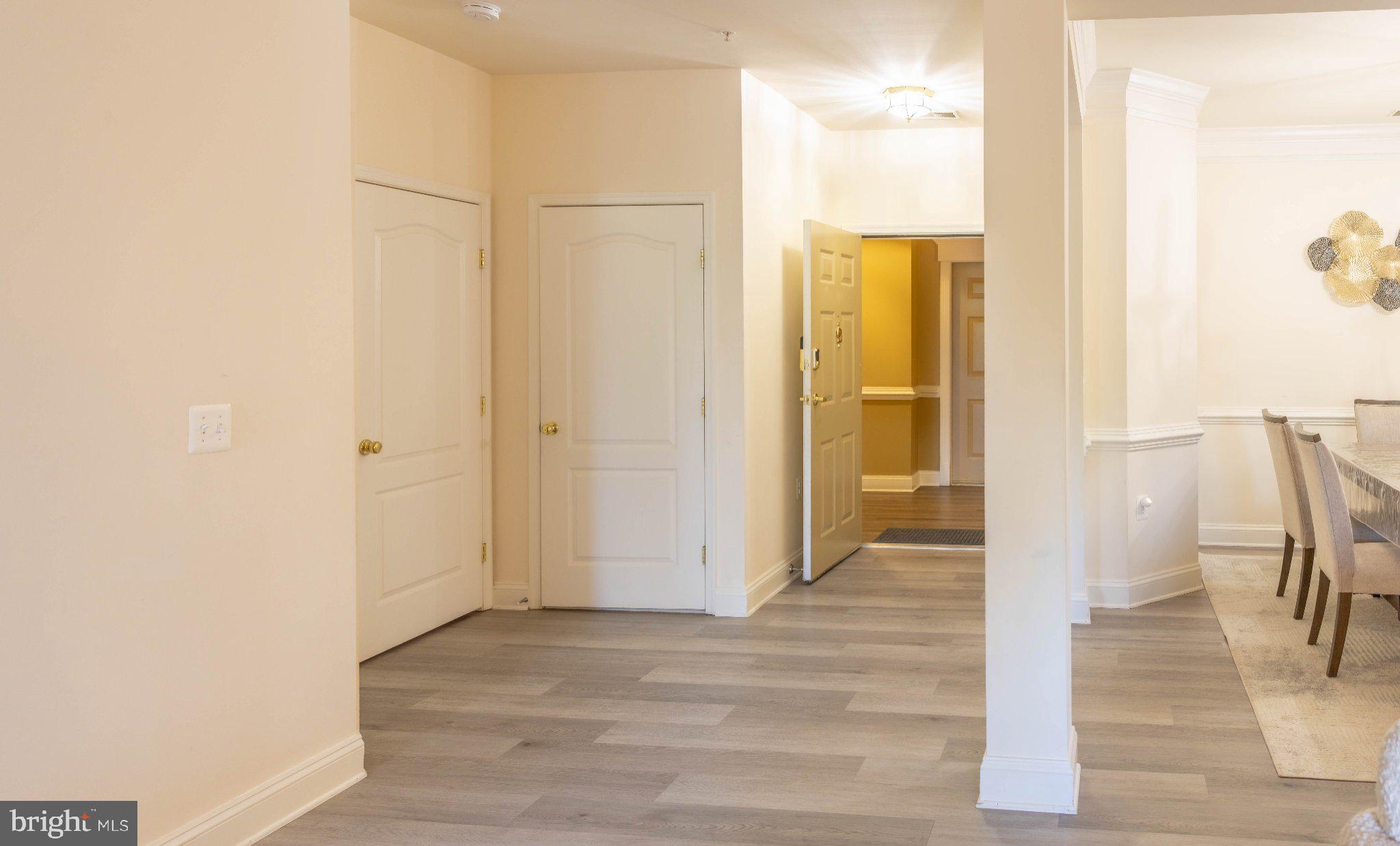 12824 Clarksburg Square Road, Unit 105 Clarksburg, MD 20871 - Photo 11 of 96 Inviting entryway with modern charm.