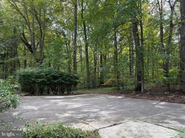 a view of outdoor space and yard