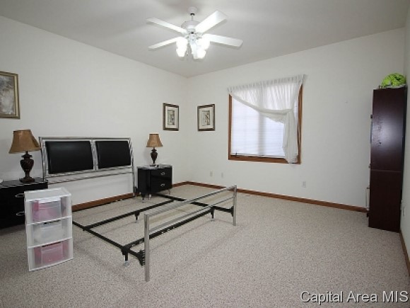 2028 West Laurel Street Springfield, IL 62704 - Photo 16 of 24 Gallery Image 16