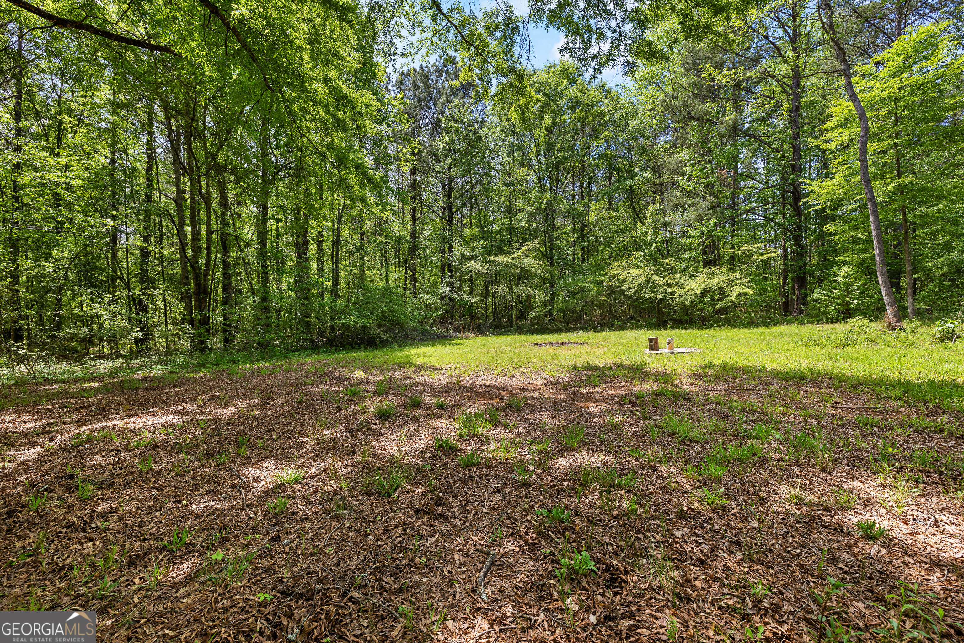 1480 Al Roberts Road Senoia, GA 30276 - Photo 18 of 18