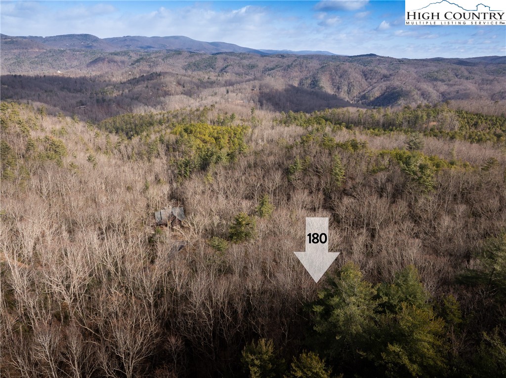 180 Marigold Road Boone, NC 28607 - Photo 4 of 21