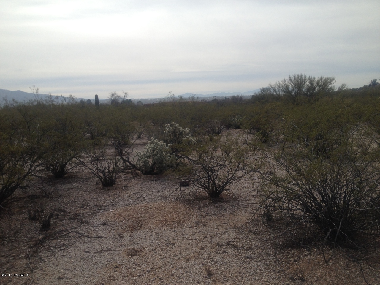 10101 East Kleindale Road, Unit APPROX Tucson, AZ 85749 - Photo 2 of 8