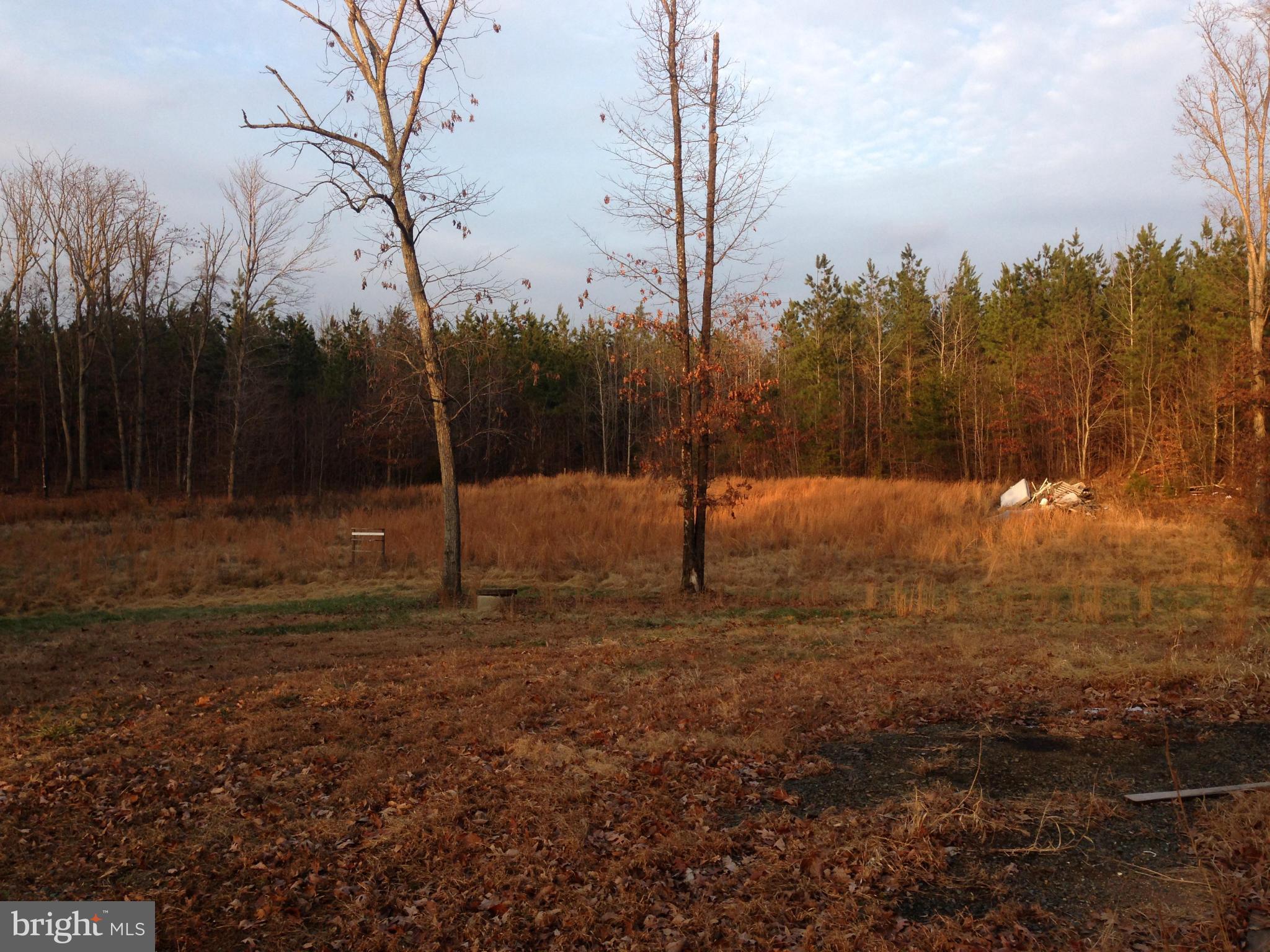 5176 Stewart Road Sumerduck, VA 22742 - Photo 3 of 10 a backyard of a house with lots of green space