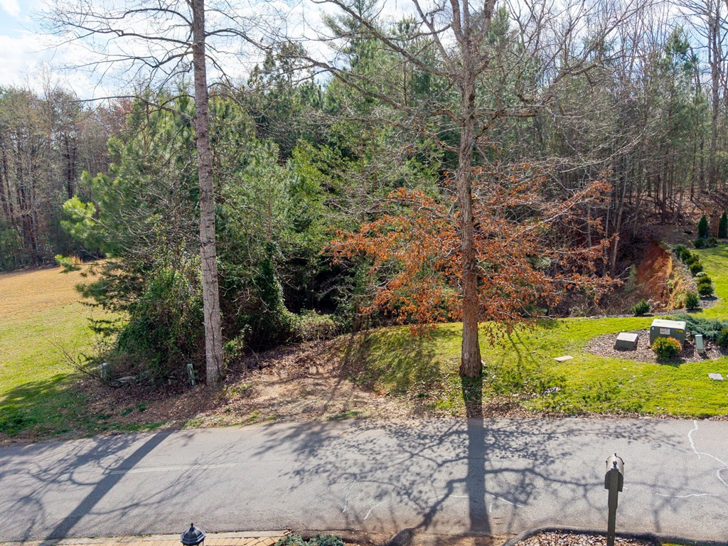 43-44 Licklog Ridge Hayesville, NC 28904 - Photo 6 of 8
