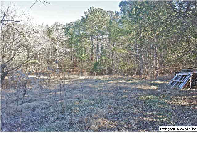 1620 Roulain Road Odenville, AL 35120 - Photo 5 of 10