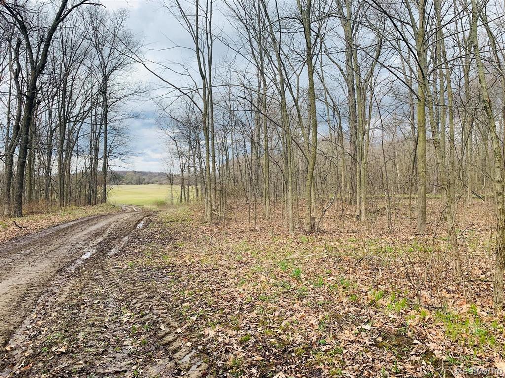 0 Smith Road Gaines, MI 48436 - Photo 1 of 6