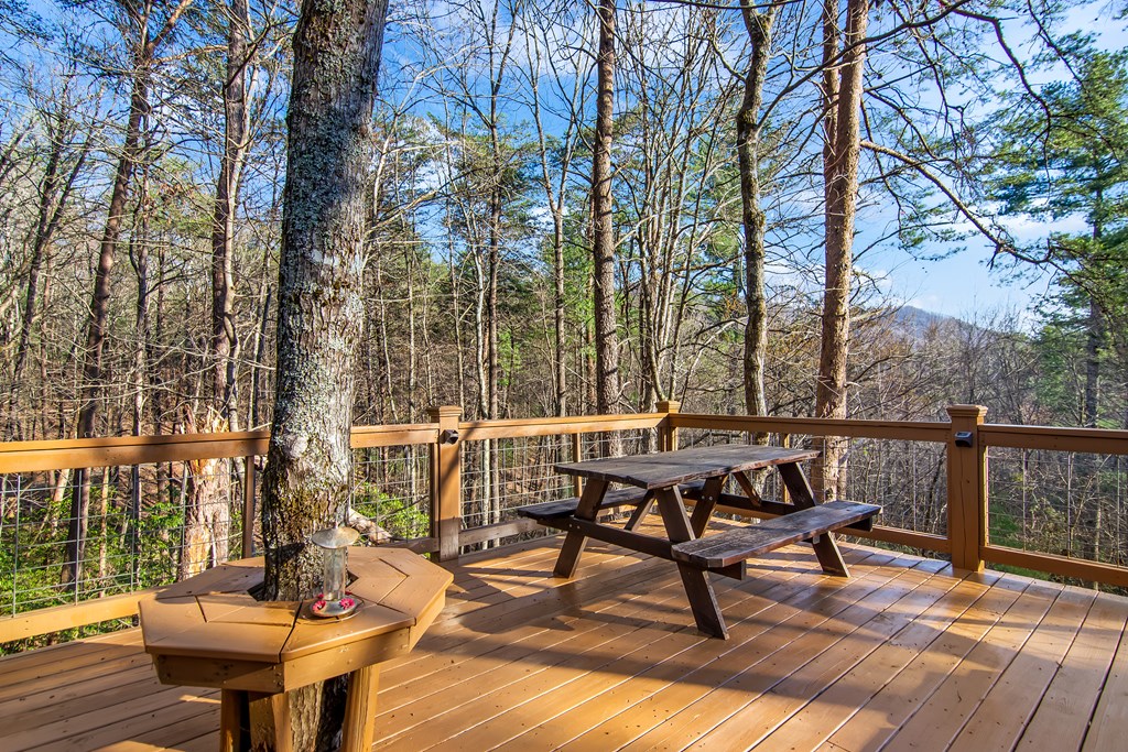 462 Laurel Mountain Road Blue Ridge, GA 30513 - Photo 7 of 52 Gallery Image 7