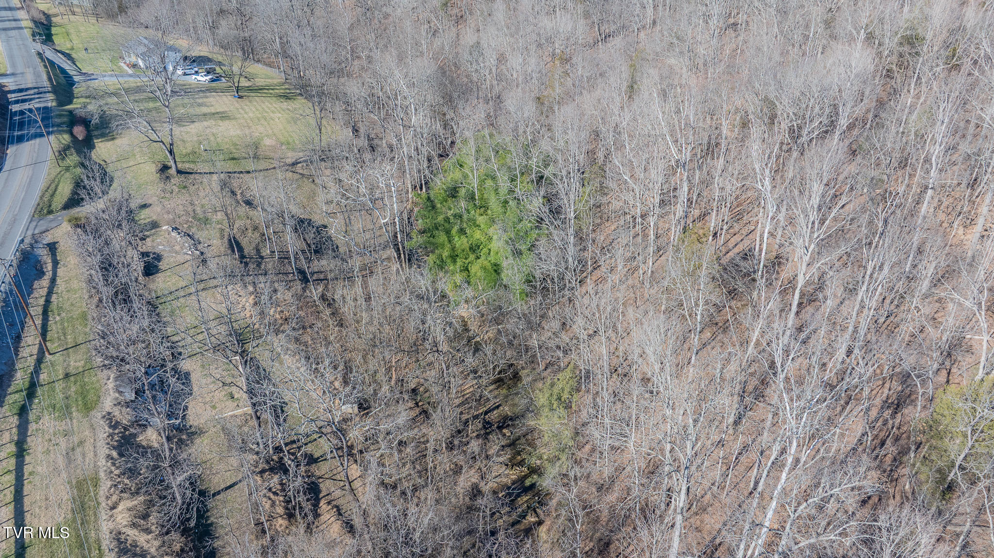 649 Gap Creek Road Elizabethton, TN 37643 - Photo 31 of 46 dji_fly_20260120_143624_0334_17689386425