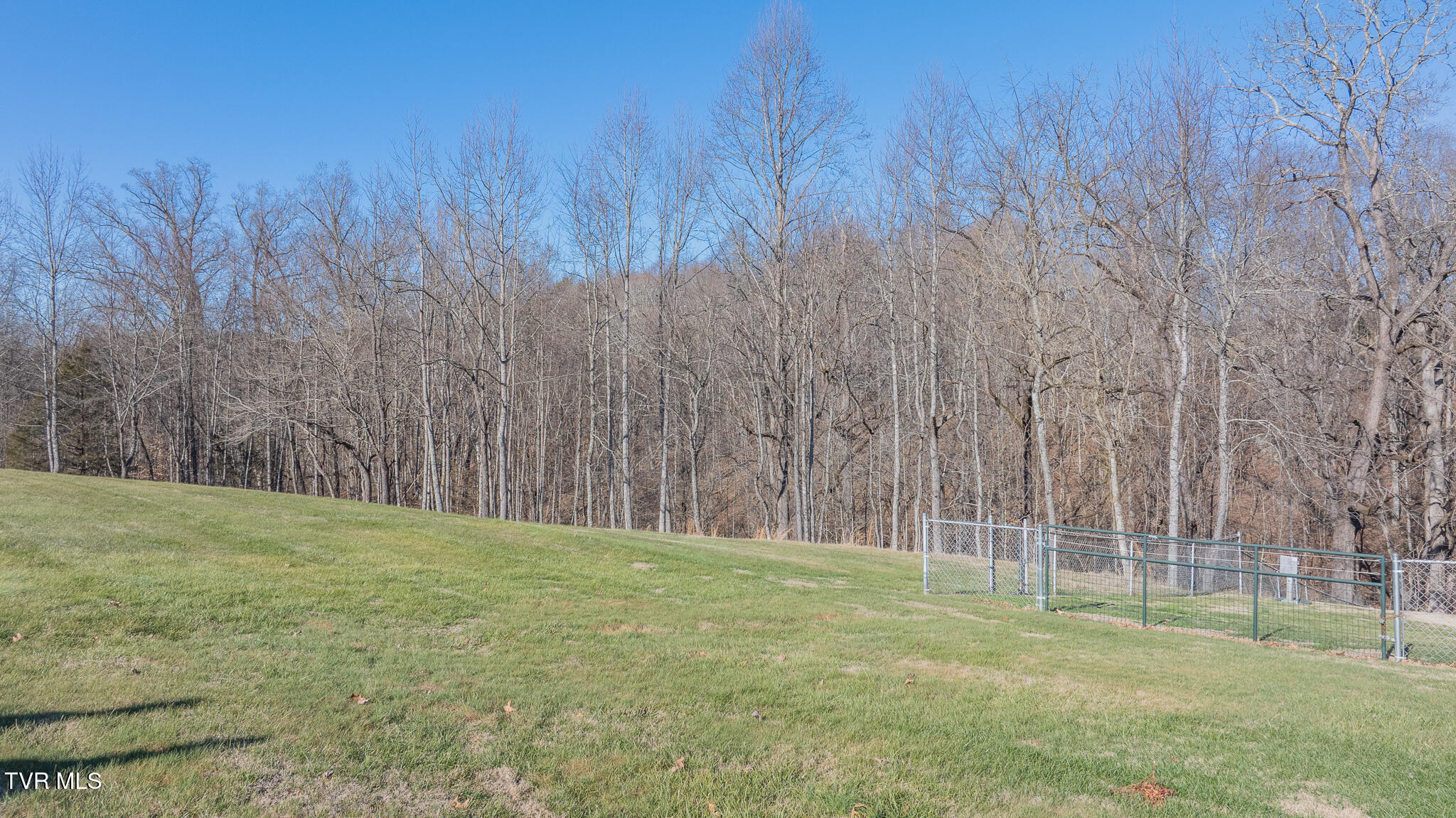 649 Gap Creek Road Elizabethton, TN 37643 - Photo 34 of 46 dji_fly_20260120_143826_0349_17689386285