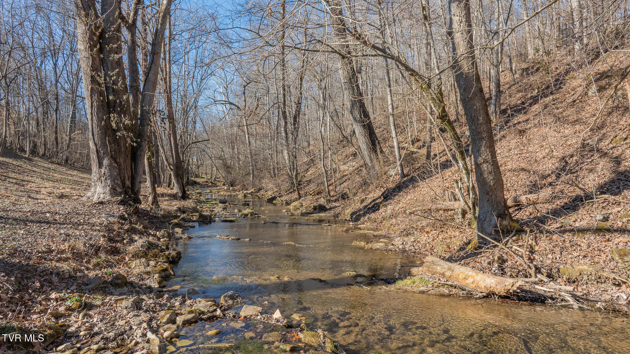 649 Gap Creek Road Elizabethton, TN 37643 - Photo 37 of 46 dji_fly_20260120_144102_0358_17689386189