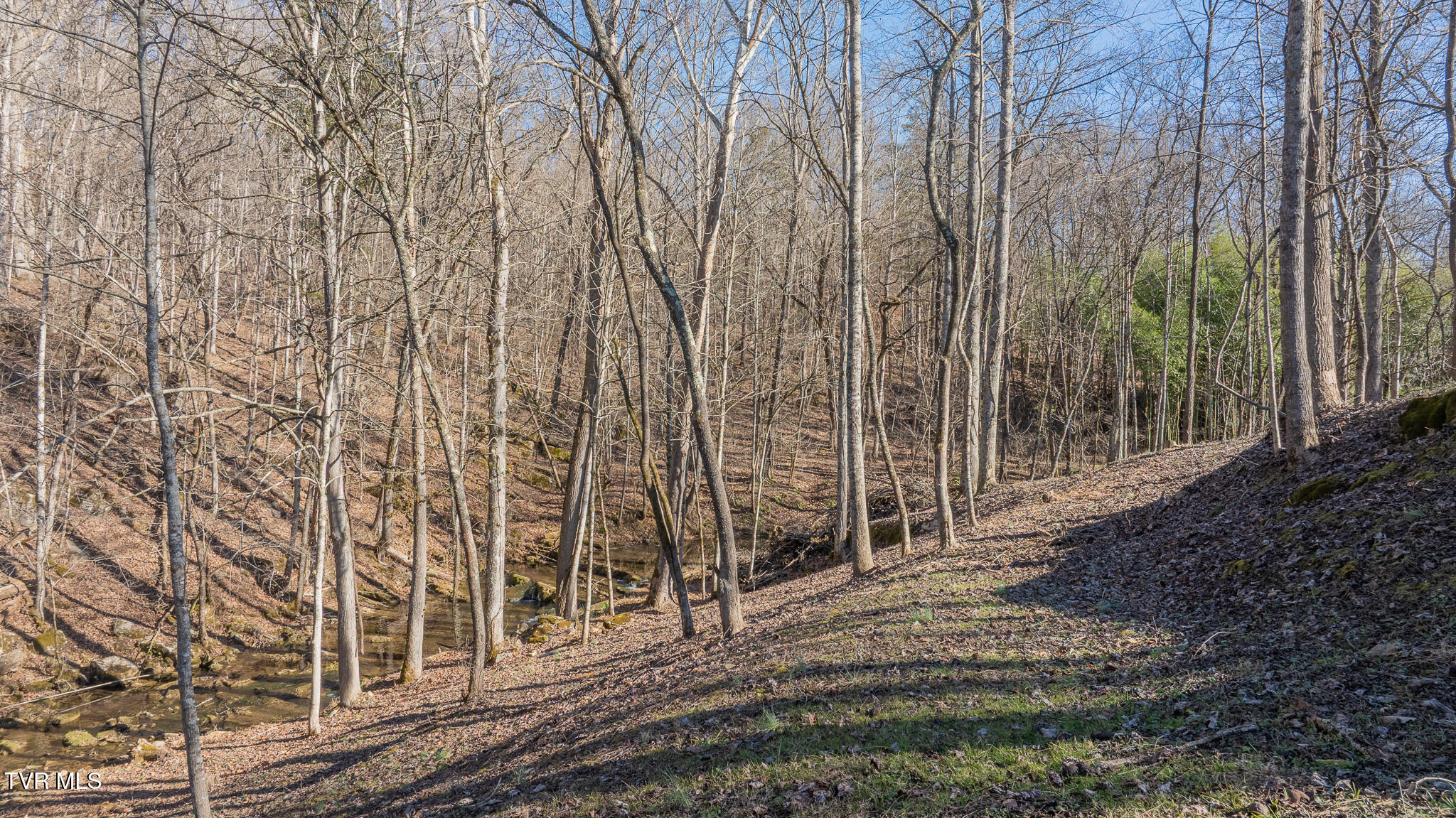 649 Gap Creek Road Elizabethton, TN 37643 - Photo 38 of 46 dji_fly_20260120_144232_0361_17689386153